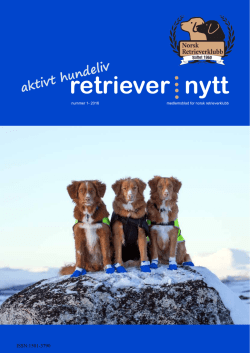 Nr. 1, 2016 - Norsk Retrieverklubb