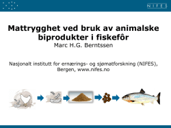 Mattrygghet ved bruk av animalske biprodukter i fiskefôr