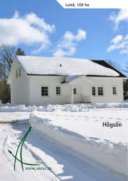 Högsön