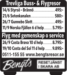 Trevliga Buss- & Flygresor Flyg med gemenskap o service