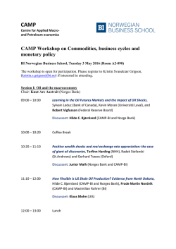 CAMP Workshop on Commodities, business cycles and
