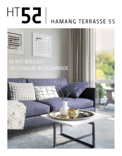 Prospekt - HT55 | Hamang Terrasse