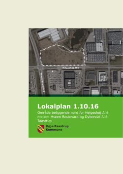 Lokalplan 1.10.16 - Høje