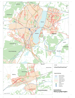 Bykort over Viborg - Bjerringbro