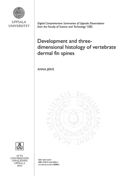 Development and three- dimensional histology of vertebrate