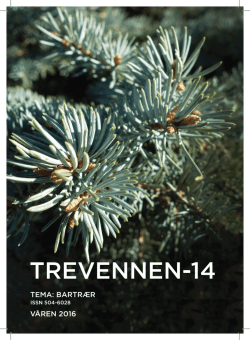 trevennen-14 - Treets Venner