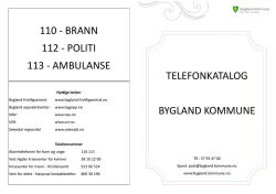 Telefonkatalog - Bygland kommune