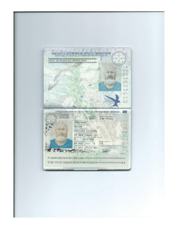 Passport 3 . PDF Format
