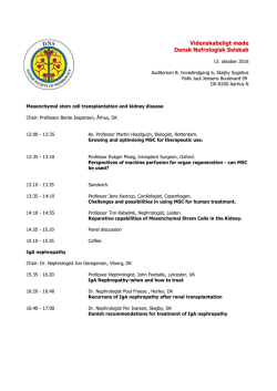 Mesenchymal stem cell transplantation and kidney disease & IgA