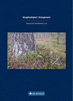 Skogsfastighet i Drängsmark