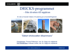 DRICKS-programmet