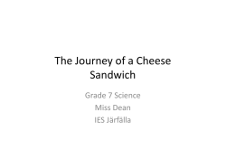 The Journey of a Cheese Sandwich