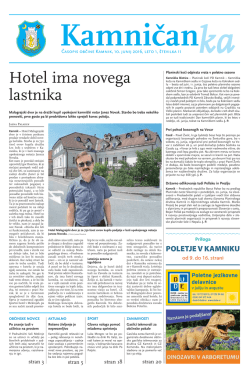 Kamničan-ka, št. 11