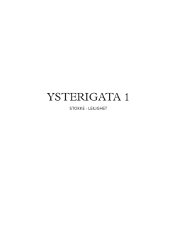 ysterigata 1 - Foxpublish.no
