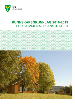 Kunnskapsgrunnlag 2016-2019 for kommunal