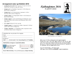 Fjellstafettbrosjyra - Øystre Slidre kommune