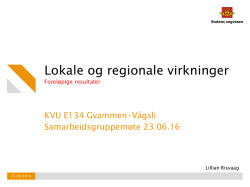 KVU Gvammen - Vågsli Lokale og regionale virkninger