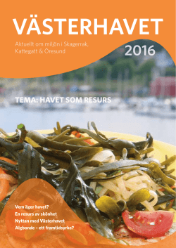 Västerhavet 2016 som pdf