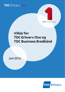 Vilkår for TDC Erhverv One og TDC Business Bredbånd
