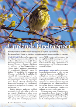 Upplands fågelrapport 2015 - Upplands Ornitologiska Förening
