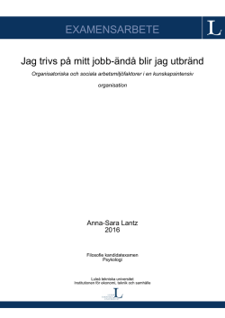 examensarbete - Pure - Luleå tekniska universitet
