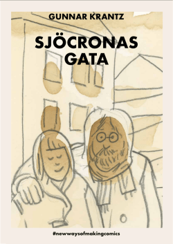 Sjöcronas gata_web