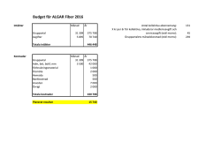 Budget för ALGAR Fiber 2016