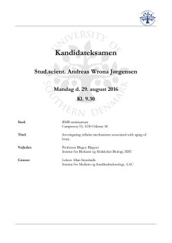 Kandidateksamen