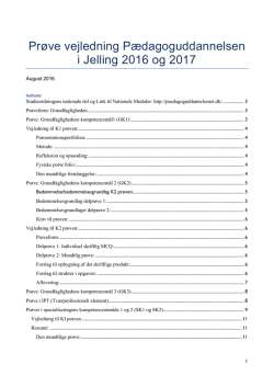 Prøve vejledning Pædagoguddannelsen i Jelling 2016 og 2017