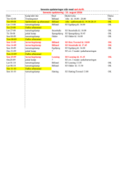 Program - Billund IF