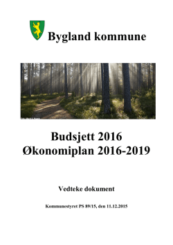budsjett 2004 - Bygland kommune
