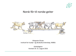 Norsk fôr. Fettkilder i kraftfôr til geit. Margrete Eknæs.