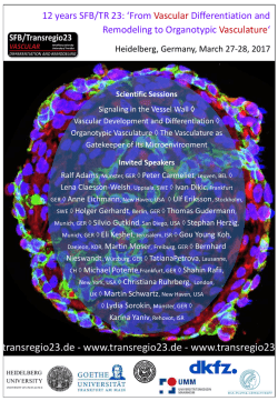 Scientific Sessions - SFB / Transregio 23